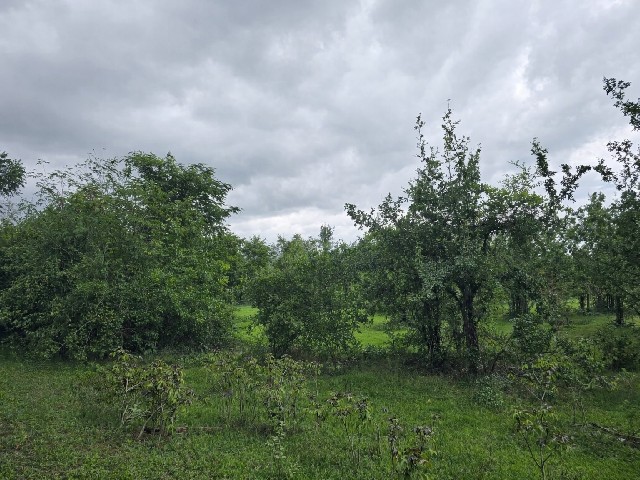 ขายที่ดิน ประจวบ พื้นที่ 5 ไร่ ต.อ่าวน้อย  อ.เมือง จ.ประจวบคีรีขันธ์ 